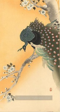 oiseaux de paon Ohara KOSON Peinture à l'huile